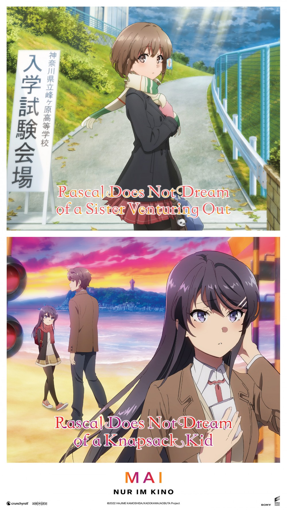 RASCAL DOES NOT DREAM (DOUBLE FEATURE)
